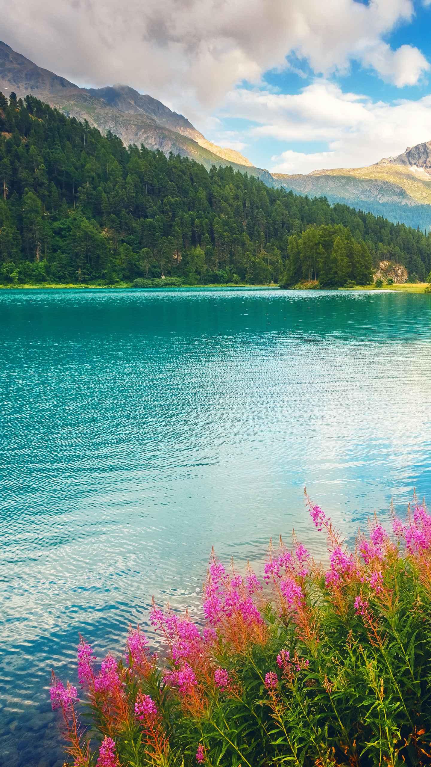 vaince-douluer-chronique-relaxation3562-_53BD10687B499F83272CC0298AAD351A paygae-reposant-hypnotique